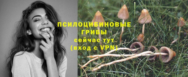 стафф Белоозёрский