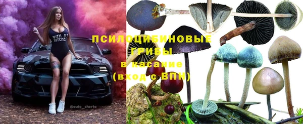 прущие крисы Белокуриха