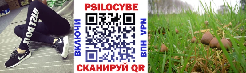 Купить где  Урюпинск  Галлюциногенные грибы Cubensis 